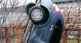 Galerie foto - poza 4