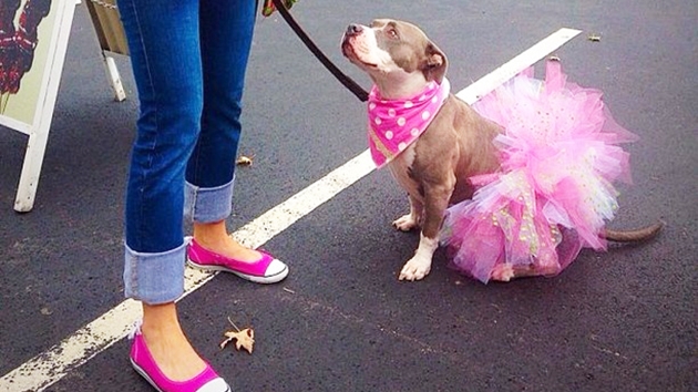 Ultima „fiţă“ în materie de fashion face ravagii printre iubitorii de animale. Foto ce fac stăpânii de câini şi pisici