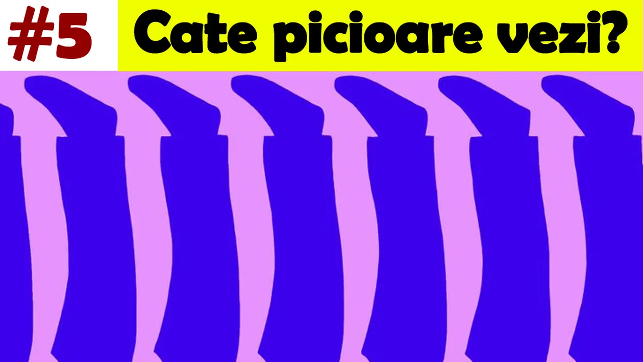 Test IQ de rezolvat în 30 de secunde | Câte picioare sunt, de fapt, în această imagine?