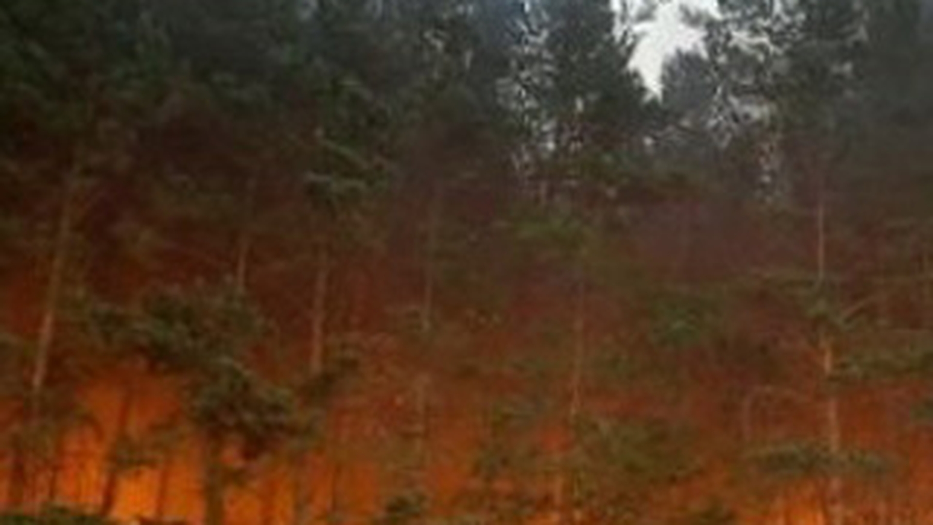 Incendiu de vegetatie la cota 2000, pe versantul argesean al Muntilor Fagaras