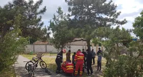 Galerie foto - poza 2