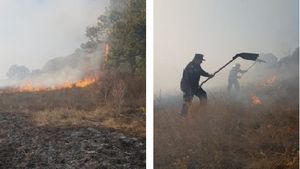 Incendiu puternic în Dolj. Există pericolul ca focul să cuprindă o pădure - VIDEO