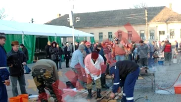 Au facut jumari din banii UE