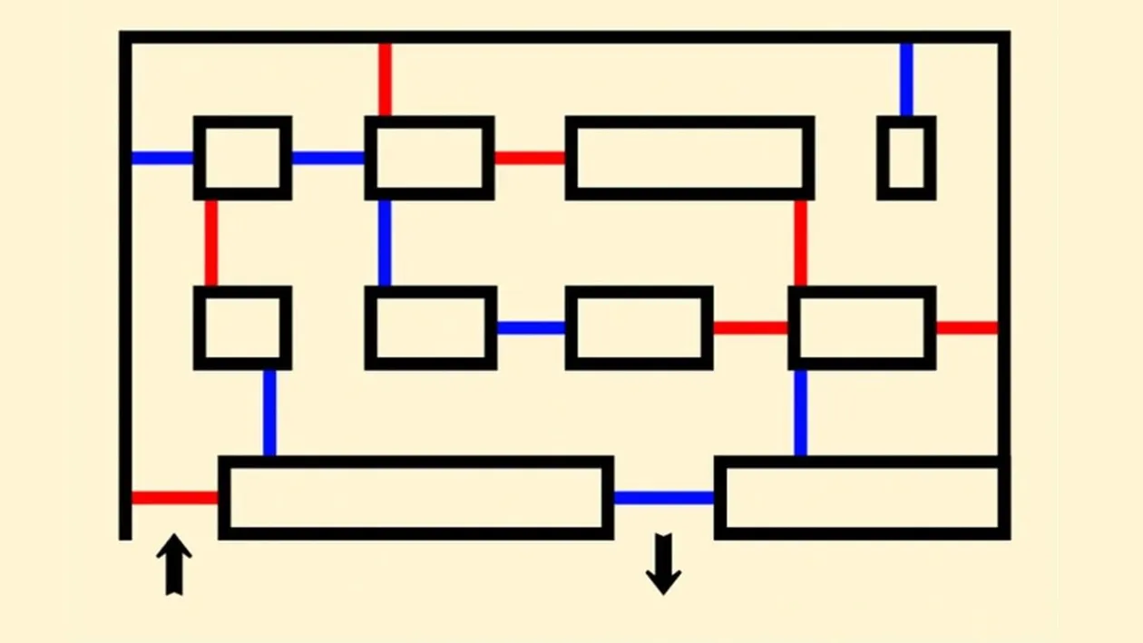 Test de inteligență | Rezolvați labirintul din această imagine! Nu puteți trece de 2 ori consecutiv prin aceeași culoare