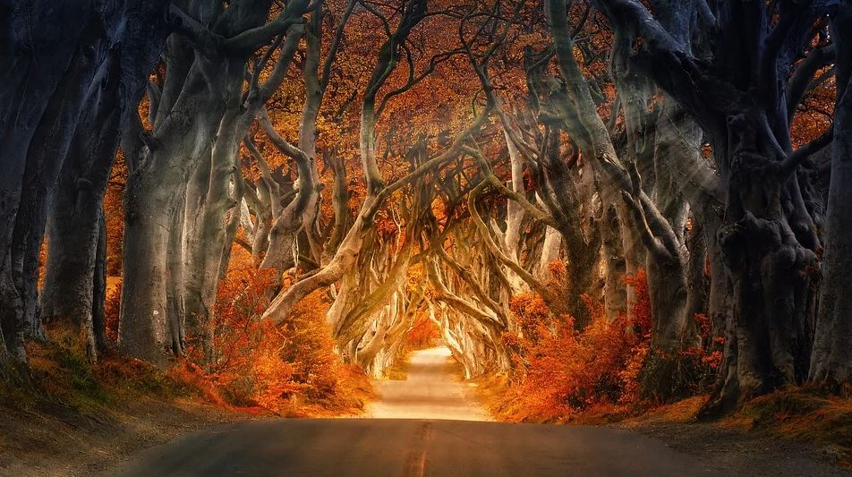 Cum va fi vremea în luna noiembrie în România. Unde va ninge înainte să vină iarna, din punct de vedere calendaristic
