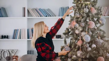 (P) Aspect natural, preț mic – cum să alegi bradul perfect anul acesta