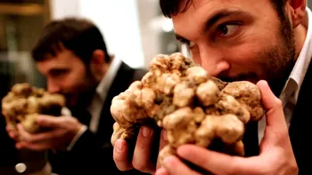 Condimentul care a ajuns să se vândă cu 2500 de euro pe kilogram. Prețul continuă să crească