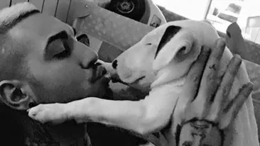 ALEX VELEA se asortează cu… bull terrierul familiei!