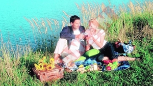 Cat ne costa sa mergem la picnic