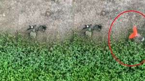 Un soldat rus care își făcea nevoile a fost atacat cu o grenadă. Imaginile au devenit virale