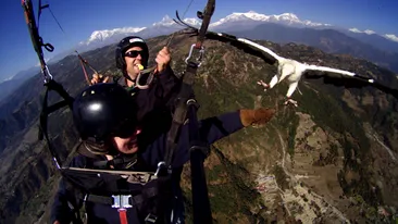 Faceti planorism cu vulturii