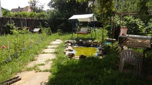 O familie din Hunedoara a ramas fara cuvinte! Ce s-a intamplat in curtea oamenilor