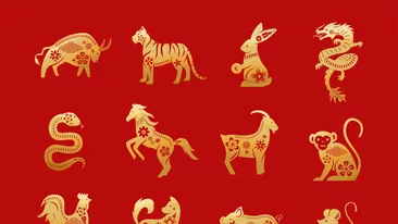 Zodiile care nu mai acceptă să fie pe locul doi. Pe 5 mai 2026 au parte de o schimbare importantă