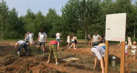 Galerie foto - poza 4