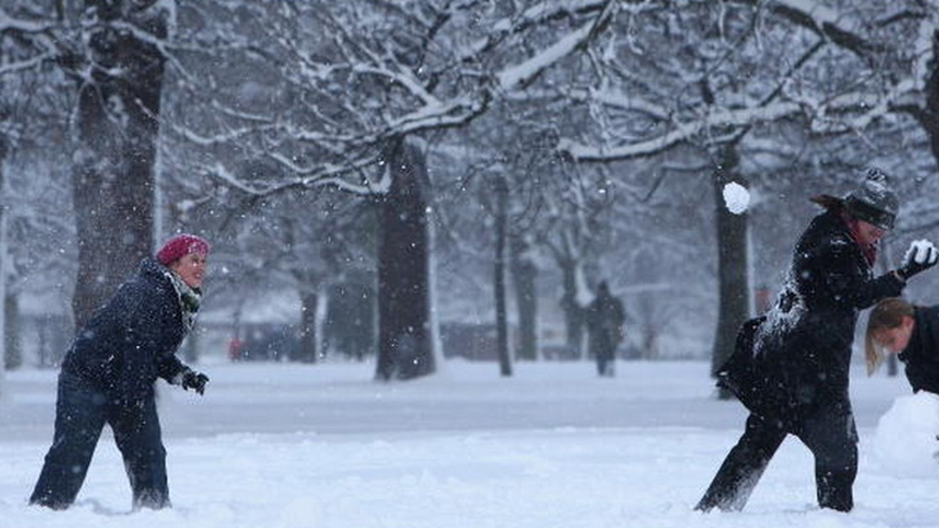 VREMEA SE RACESTE! Prognoza meteo pana pe data de 1 decembrie. Vezi cand va NINGE