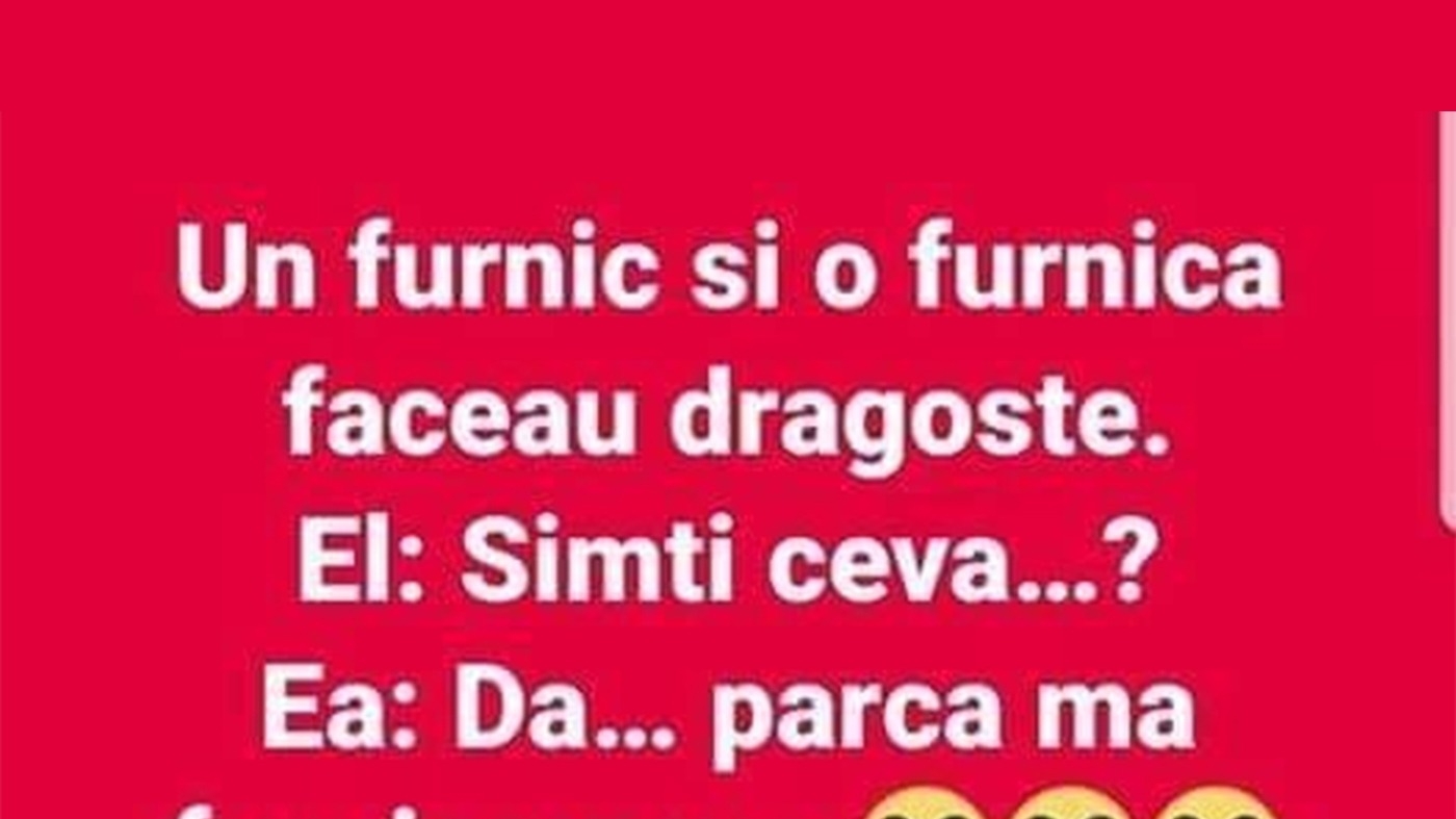 BANCUL ZILEI | Un furnic și o furnică făceau dragoste