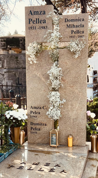 Mormântul lui Amza Pellea/ Sursa foto: Facebook