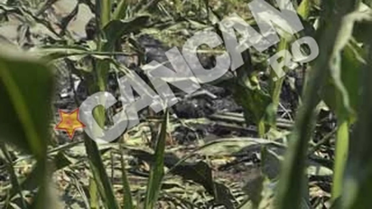 Fragmentele din epava elicopterului cazut, stranse din lanul de porumb, dupa o noapte de cautari