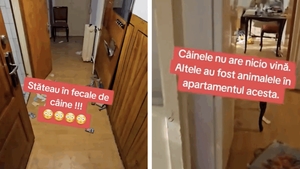IREAL! Ce-a putut să găsească un proprietar din Capitală în apartamentul pe care îl închiriase unui cuplu