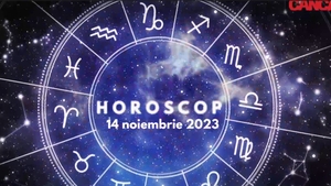 Horoscop 14 noiembrie 2023. Taurii pot primi o nouă oferă de muncă