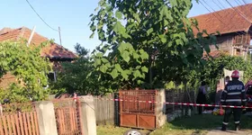 Galerie foto - poza 3