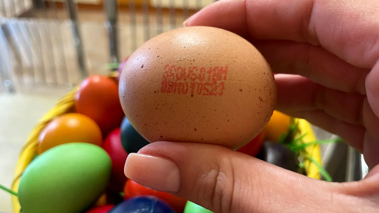 Ce înseamnă codul înscris pe ouă? Semnificaţia ascunsă de fiecare cifră în parte