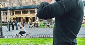 Galerie foto - poza 3