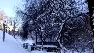 Unicul locuitor al unui sat din Alba, izolat din cauza zăpezii. Polițiștii i-au dus medicamente și alimente