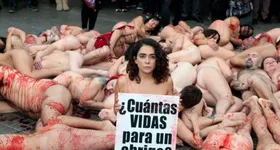 Galerie foto - poza 2