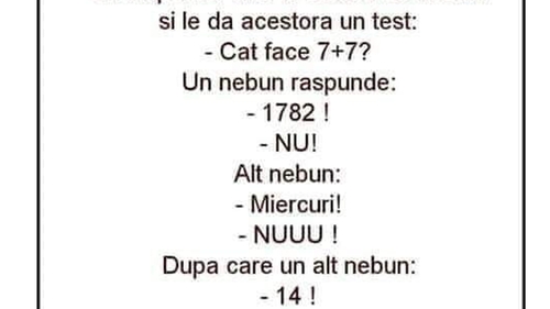 BANC | Un inspector vine la o casă de nebuni și le dă acestora un test IQ: "Cât face 7+7?"