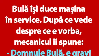 BANC | Bulă își duce mașina în service