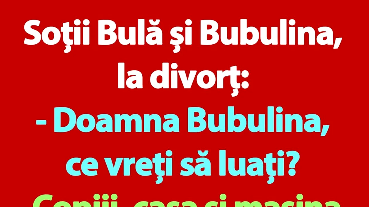 BANC | Soții Bulă și Bubulina, la divorț