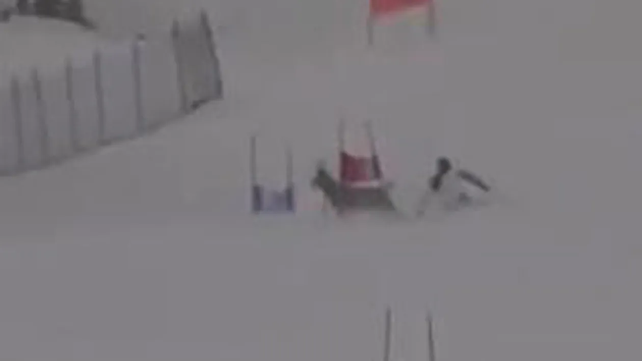 VIDEO Un schior s-a intalnit cu un cerb pe partia pe care se antrena!