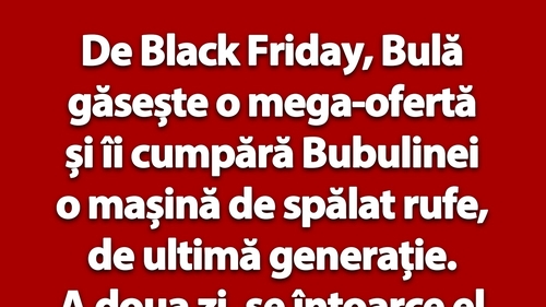 BANC | Bulă îi cumpără Bubulinei o mașină de spălat rufe, de Black Friday