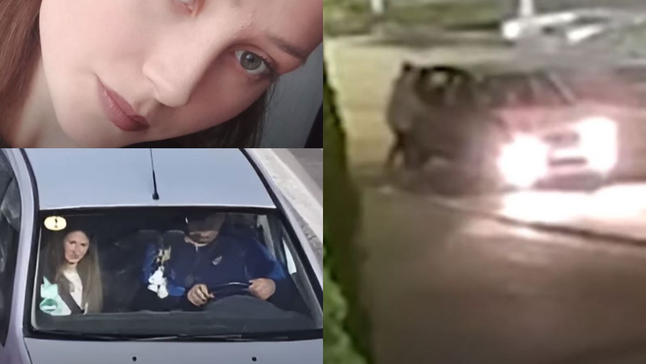 Detalii care răstoarnă tot ce se ştia în cazul uciderii Anei Maria! Anchetatorii spun că ar fi ieşit pe propriile picioare din casa suspectului