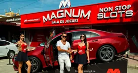 Galerie foto - poza 2