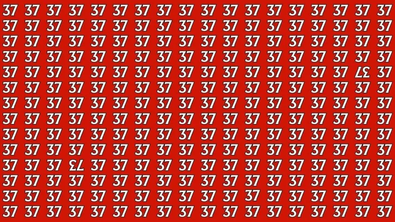 Test de inteligență | Găsiți numerele '37' și '73' care sunt inversate, în doar 15 secunde!