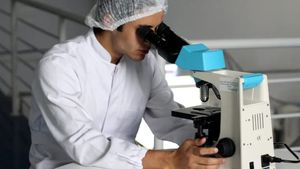 Există o „a treia stare” între viață și moarte. Cercetările celulare care au dus la descoperirea ei