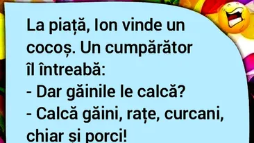 BANCUL ZILEI | La piață, Ion vinde un cocoș