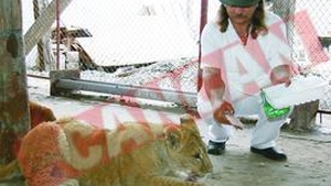 Si-a facut gradina zoologica acasa