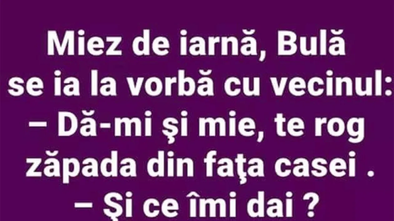 BANC | Miez de iarnă, Bulă se ia la vorbă cu vecinul