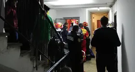 Galerie foto - poza 2