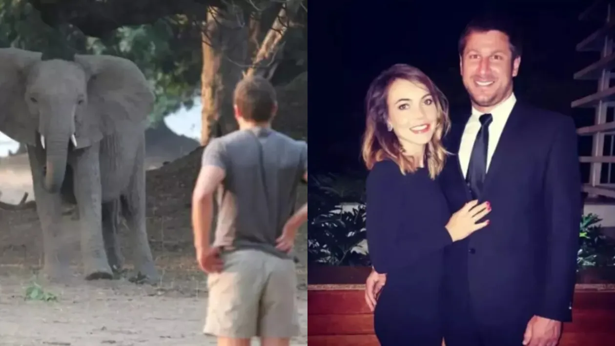 Sfârșit tragic pentru un milionar de 39 de ani. A fost omorât de elefant în propriul safari!