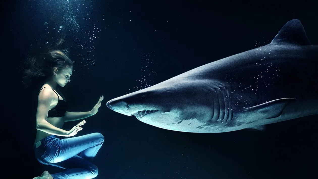 Când va fi adus în țară trupul neînsuflețit al Roxanei Donisan, românca ucisă de un rechin în Egipt