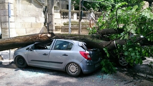 DEZASTRU in Bucuresti! Furtuna violenta care s-a abutut asupra Capitalei a facut ravagii: doua masini au fost distruse!