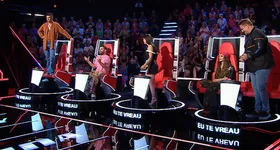 Galerie foto - poza 2