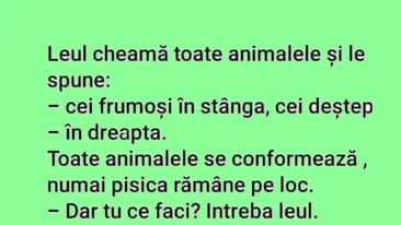 BANC | Leul cheamă toată animalele și le spune: Cei frumoși - în stânga. Cei deștepți - în dreapta!