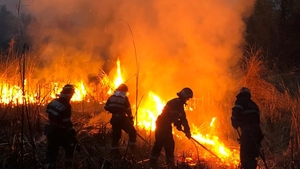 Incendiu puternic la Tulcea! Sunt mai multe focare pe o suprafață de 300 de hectare VIDEO