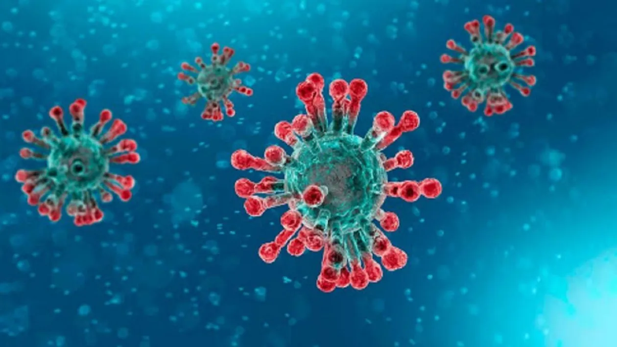 Incredibil! Cum arată, de fapt, coronavirusul. Imaginile care îți dau fiori