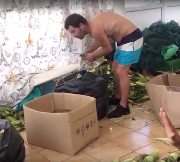 După ce vei vedea asta, nu vei mai mânca niciodată! Cum e pregătit, de fapt, porumbul fiert vândut pe plajele de lux din Mamaia